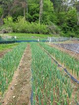 팜모닝 자유주제·자유게시판 게시글 이미지