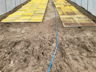 신상범님의 벼 · 영농일지 작성글 사진