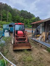 팜모닝 자유주제·자유게시판 게시글 이미지