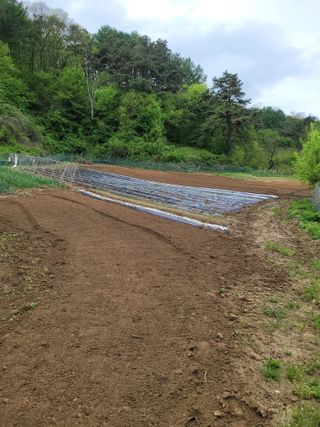 최기인님의 자유주제 · 자유게시판 작성글 사진