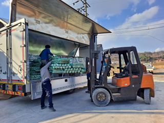 서촌댁님의 버섯 · 영농일지 작성글 사진