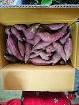 팜모닝 최근에 산 것 자랑하기·참여글 게시글 이미지