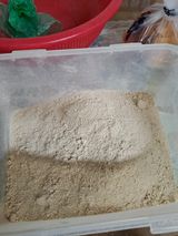 팜모닝 자유주제·자유게시판 게시글 이미지