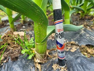 들꽃농장님의 자유주제 · 자유게시판 작성글 사진