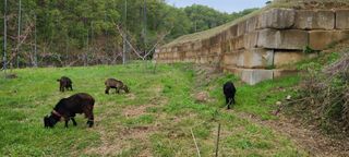(천지산)님의 사과 · 영농일지 작성글 사진