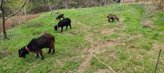 (천지산)님의 자유주제 · 자유게시판 작성글 사진