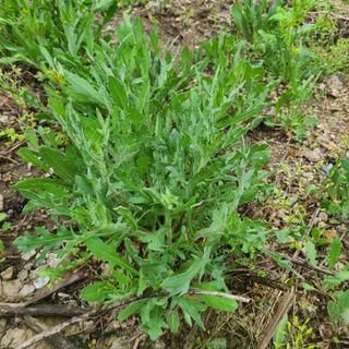 knlee님의 자유주제 · 자유게시판 작성글 사진