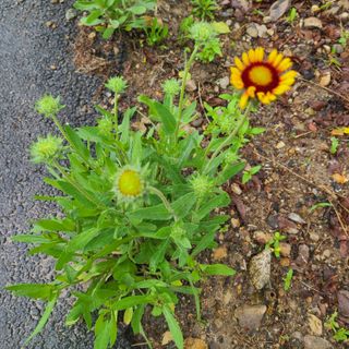 knlee님의 자유주제 · 자유게시판 작성글 사진