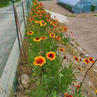 knlee님의 자유주제 · 자유게시판 작성글 사진