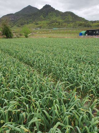 김영복님의 자유주제 · 자유게시판 작성글 사진