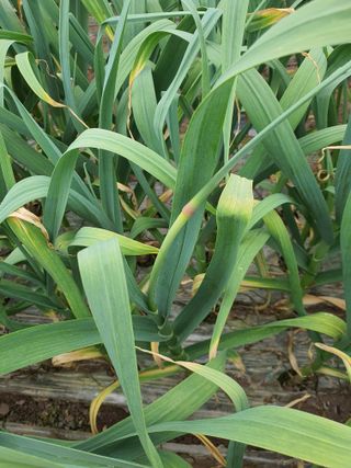 김영복님의 자유주제 · 자유게시판 작성글 사진