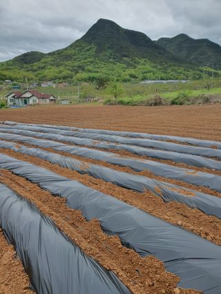 김영복님의 자유주제 · 자유게시판 작성글 사진
