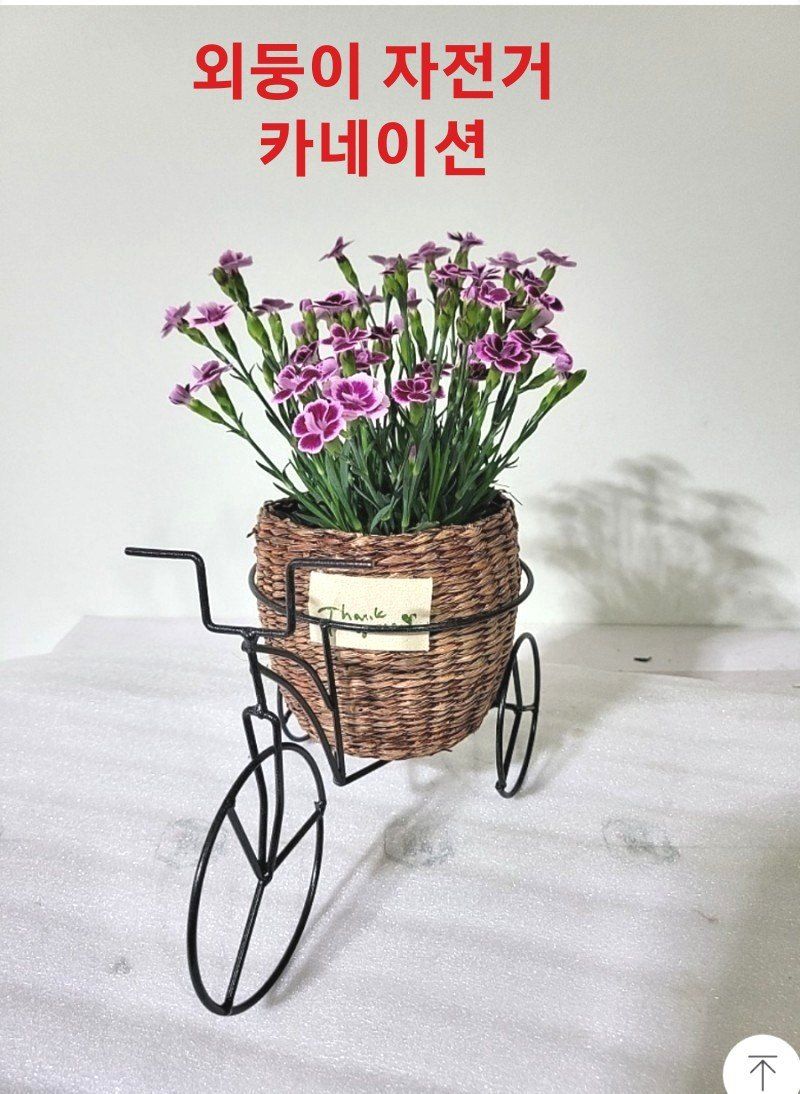 사랑꽃농장님의 장터 판매 상품 [스승의날 카네이션 자전거 세트] 첨부 사진