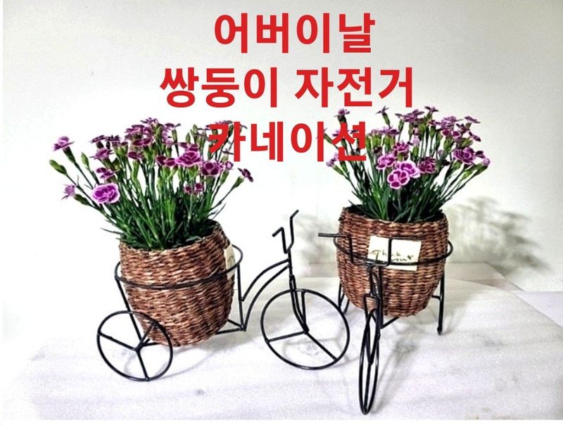 사랑꽃농장님의 장터 판매 상품 [스승의날 카네이션 자전거 세트] 첨부 사진