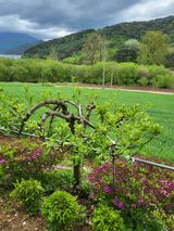 팜모닝 자유주제·자유게시판 게시글 이미지