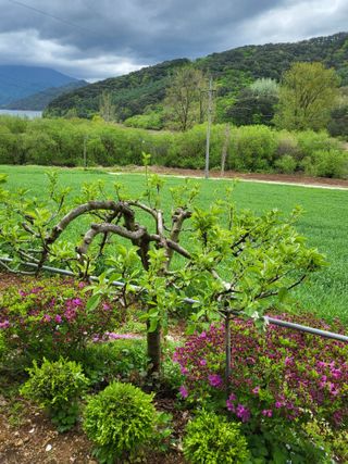 화천힐링님의 자유주제 · 자유게시판 작성글 사진