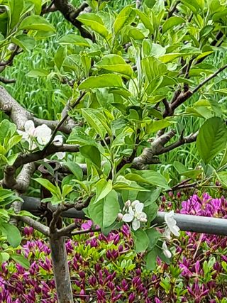 화천힐링님의 자유주제 · 자유게시판 작성글 사진