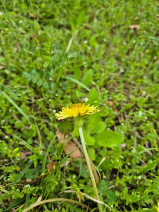 가인 5362님의 자유주제 · 자유게시판 작성글 사진