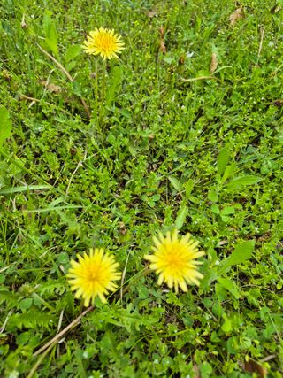 가인 5362님의 자유주제 · 자유게시판 작성글 사진