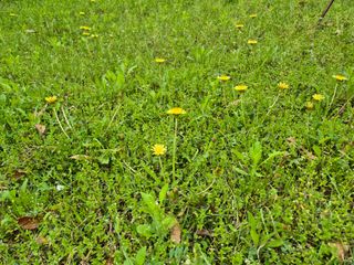 가인 5362님의 자유주제 · 자유게시판 작성글 사진