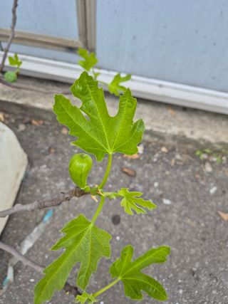 가인 5362님의 자유주제 · 자유게시판 작성글 사진