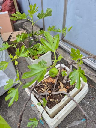 가인 5362님의 자유주제 · 자유게시판 작성글 사진