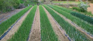 얼룩무늬님의 자유주제 · 사진전 작성글 사진