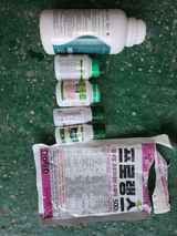 팜모닝 자유주제·자유게시판 게시글 이미지