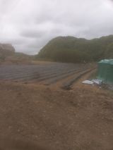 팜모닝 자유주제·자유게시판 게시글 이미지