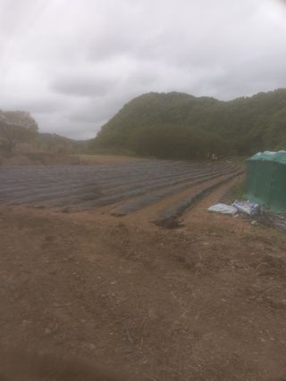 알 수 없음님의 자유주제 · 자유게시판 작성글 사진