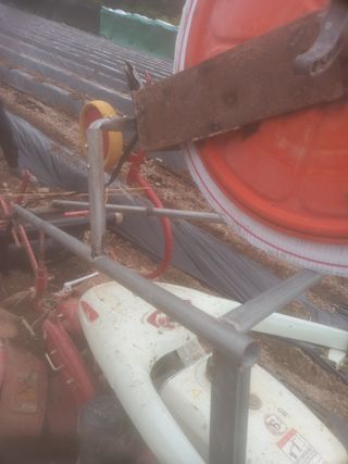 알 수 없음님의 자유주제 · 자유게시판 작성글 사진