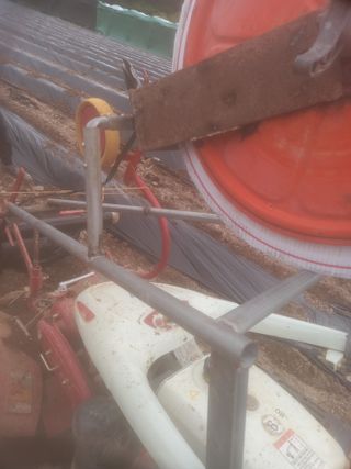 알 수 없음님의 자유주제 · 자유게시판 작성글 사진