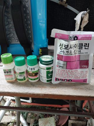 노영성님의 두릅 · 영농일지 작성글 사진