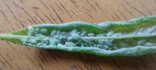 정진해님의 자유주제 · 자유게시판 작성글 사진