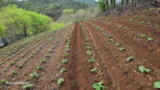 영월산지기148님의 자유주제 · 자유게시판 작성글 사진