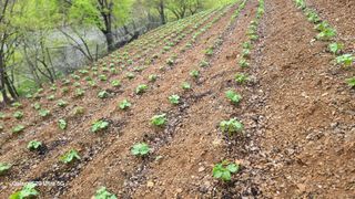 영월산지기148님의 자유주제 · 자유게시판 작성글 사진