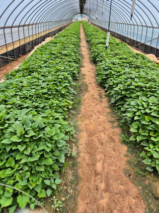 김동수님의 자유주제 · 자유게시판 작성글 사진