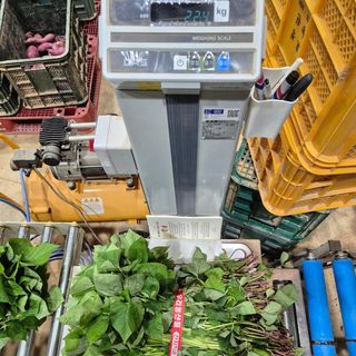 김동수님의 자유주제 · 자유게시판 작성글 사진