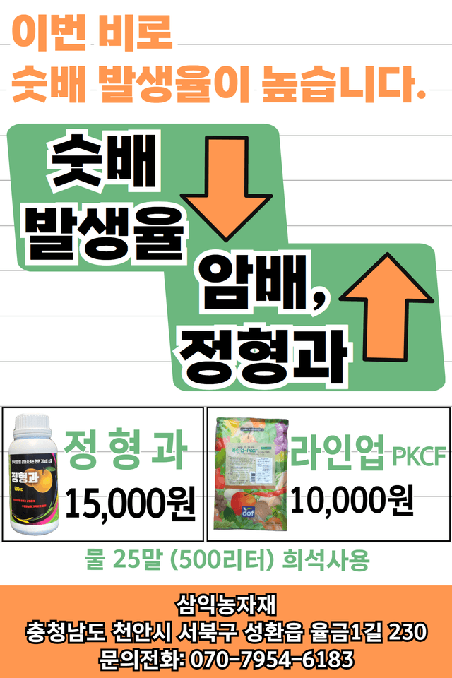 삼익농자재님의 장터 판매 상품 [정형과 500cc 화접 후 필수 배 전용 영양제 암배 숫배감소] 첨부 사진