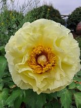 팜모닝 자유주제·자유게시판 게시글 이미지