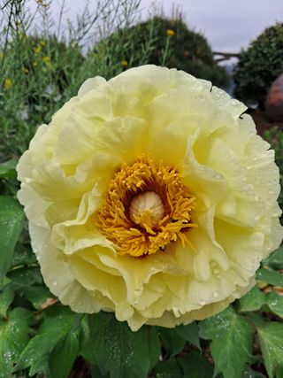 윤형곤님의 자유주제 · 자유게시판 작성글 사진