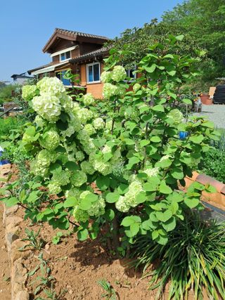 윤형곤님의 자유주제 · 자유게시판 작성글 사진