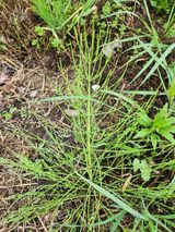 팜모닝 자유주제·자유게시판 게시글 이미지