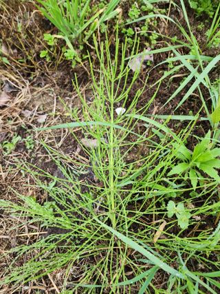 공명호님의 자유주제 · 자유게시판 작성글 사진