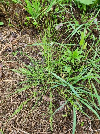 공명호님의 자유주제 · 자유게시판 작성글 사진