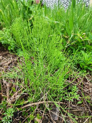 공명호님의 자유주제 · 자유게시판 작성글 사진