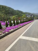 팜모닝 자유주제·사진전 게시글 이미지