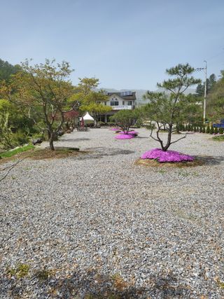 블렉베레모(박상엽)님의 자유주제 · 사진전 작성글 사진