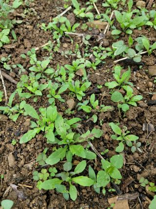 두릅나무20315님의 자유주제 · 자유게시판 작성글 사진