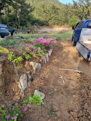 이대팔님의 복숭아 · 영농일지 작성글 사진